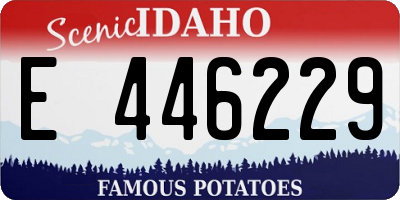 ID license plate E446229