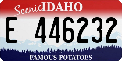 ID license plate E446232