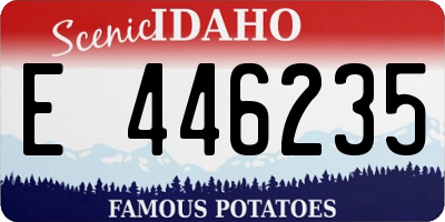 ID license plate E446235