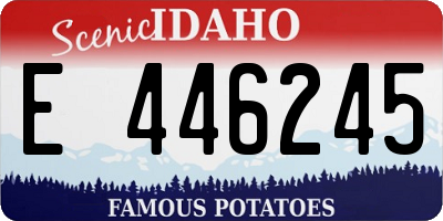 ID license plate E446245