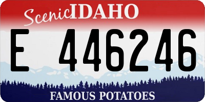 ID license plate E446246