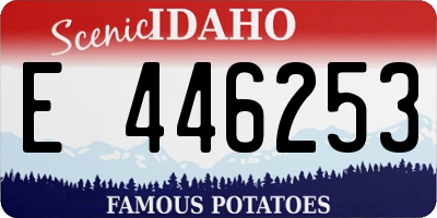 ID license plate E446253