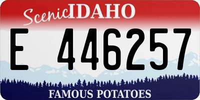 ID license plate E446257