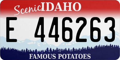 ID license plate E446263