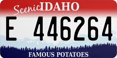 ID license plate E446264