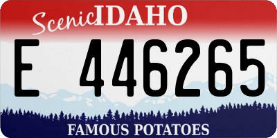 ID license plate E446265