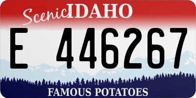 ID license plate E446267