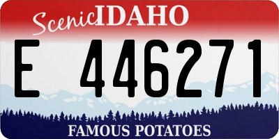 ID license plate E446271