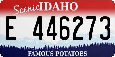 ID license plate E446273