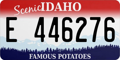 ID license plate E446276
