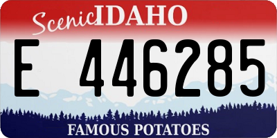 ID license plate E446285