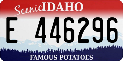 ID license plate E446296