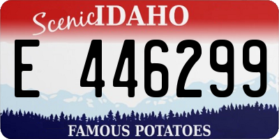 ID license plate E446299