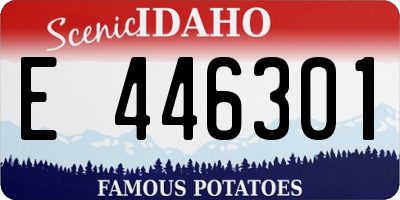 ID license plate E446301