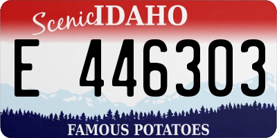 ID license plate E446303