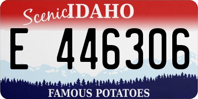 ID license plate E446306