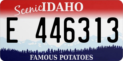 ID license plate E446313