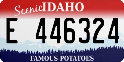 ID license plate E446324