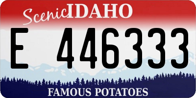 ID license plate E446333
