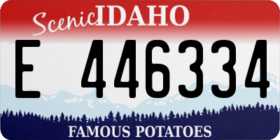 ID license plate E446334