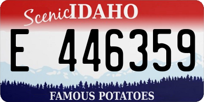 ID license plate E446359