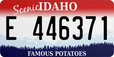 ID license plate E446371