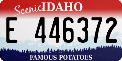 ID license plate E446372