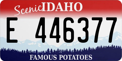 ID license plate E446377