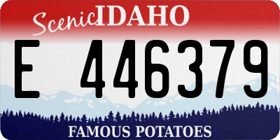 ID license plate E446379