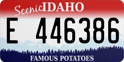 ID license plate E446386