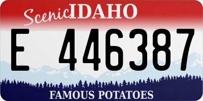 ID license plate E446387