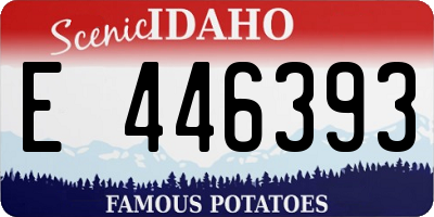 ID license plate E446393