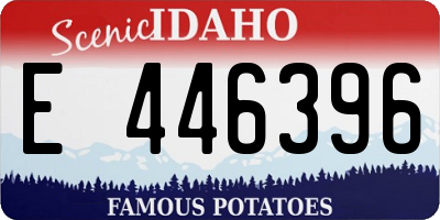 ID license plate E446396