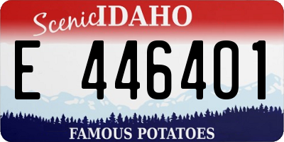 ID license plate E446401