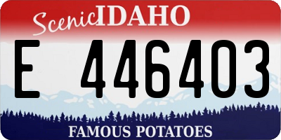 ID license plate E446403
