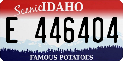 ID license plate E446404
