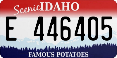 ID license plate E446405