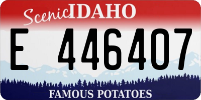 ID license plate E446407