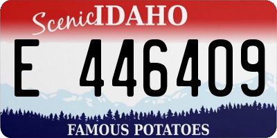 ID license plate E446409