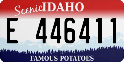 ID license plate E446411
