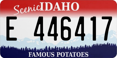 ID license plate E446417