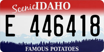 ID license plate E446418