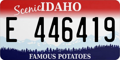 ID license plate E446419
