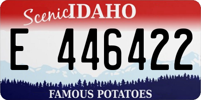 ID license plate E446422