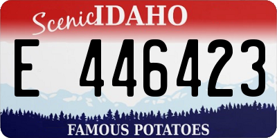 ID license plate E446423