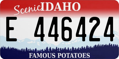 ID license plate E446424