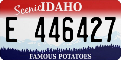 ID license plate E446427