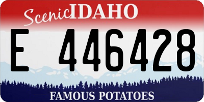 ID license plate E446428