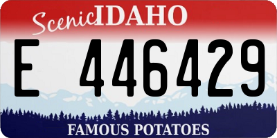 ID license plate E446429