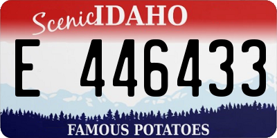 ID license plate E446433